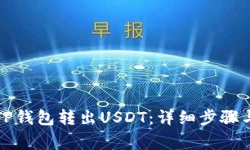 如何通过TP钱包转出USDT：详细步骤与注意事项