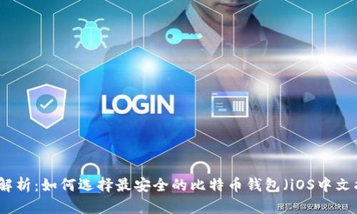 深度解析：如何选择最安全的比特币钱包（iOS中文指南）