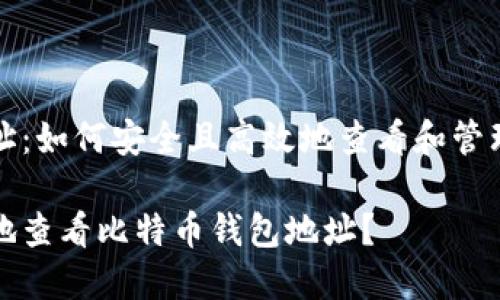 比特币钱包地址：如何安全且高效地查看和管理你的数字资产

如何高效安全地查看比特币钱包地址？