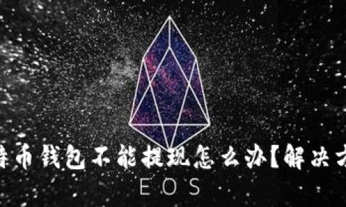 siaoti比特币钱包不能提现怎么办？解决方案全解析