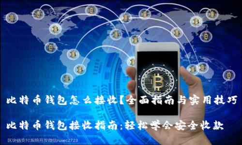 比特币钱包怎么接收？全面指南与实用技巧

比特币钱包接收指南：轻松学会安全收款