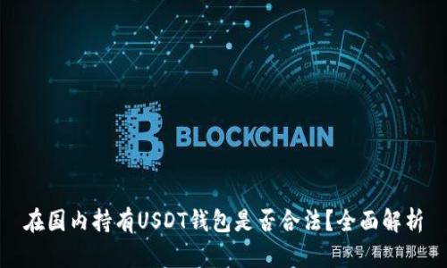 在国内持有USDT钱包是否合法？全面解析
