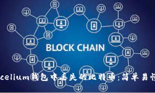 如何找回Mycelium钱包中丢失的比特币：简单易懂的解决方案