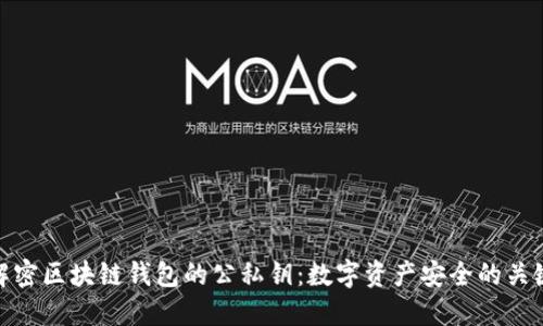 解密区块链钱包的公私钥：数字资产安全的关键