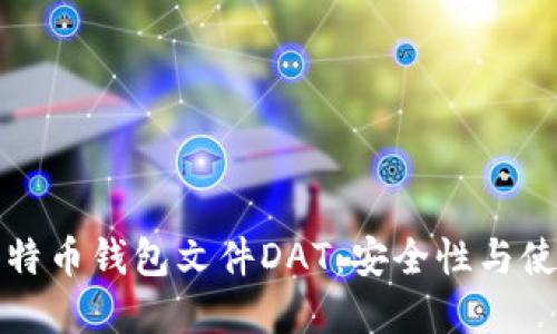 详解比特币钱包文件DAT：安全性与使用技巧