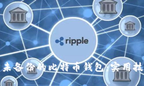 如何找回未备份的比特币钱包：实用技巧与建议