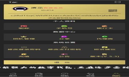 引言

在数字钱包和区块链技术飞速发展的今天，越来越多的用户逐渐意识到这些工具在日常生活中的重要性。而TP钱包作为一款功能强大的数字钱包，正在逐步受到大家的青睐。那么，TP钱包究竟能做些什么？它能否支持创建多个视频？本文将深入探讨这一话题，带你了解TP钱包的多种应用。

TP钱包如何助力数字资产管理和视频创作