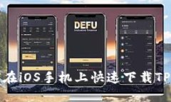 如何在iOS手机上快速下载