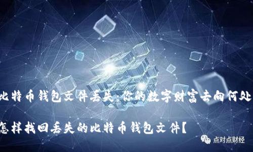 比特币钱包文件丢失：你的数字财富去向何处？

怎样找回丢失的比特币钱包文件？
