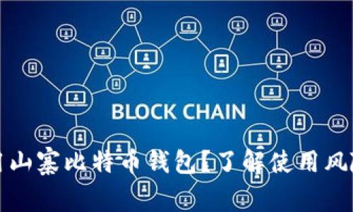 如何安全使用山寨比特币钱包？了解使用风险与选择技巧