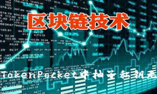 如何解决TokenPocket中柚子私钥无效的问题