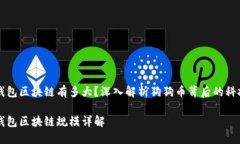 狗狗币钱包区块链有多大