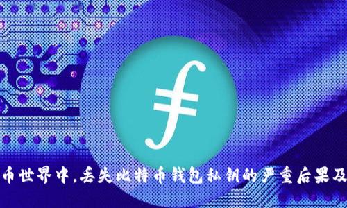 

在加密货币世界中，丢失比特币钱包私钥的严重后果及应对策略

如何应对比特币钱包私钥丢失的问题？