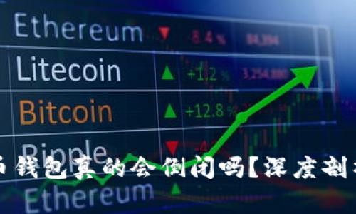 ### 虚拟币钱包真的会倒闭吗？深度剖析及未来趋势