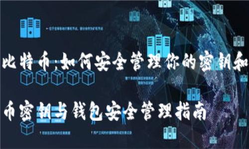 探秘比特币：如何安全管理你的密钥和钱包

比特币密钥与钱包安全管理指南