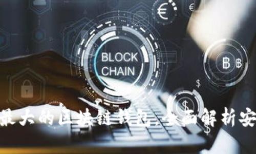: 深入剖析当前最大的区块链钱包，全面解析安全性与使用体验
