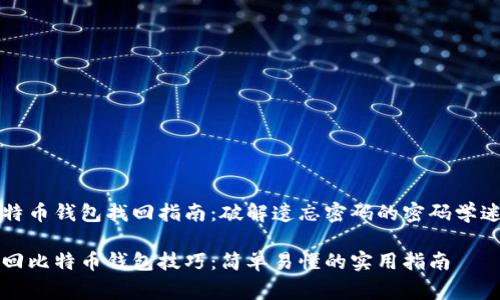 比特币钱包找回指南：破解遗忘密码的密码学迷宫

找回比特币钱包技巧：简单易懂的实用指南