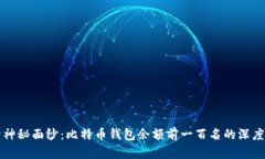 揭开神秘面纱：比特币钱