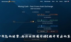 TP钱包的迷雾：为什么没有