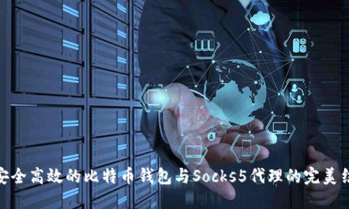 : 安全高效的比特币钱包与Socks5代理的完美结合