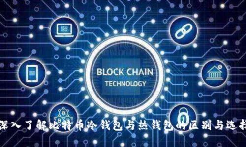 深入了解比特币冷钱包与热钱包的区别与选择