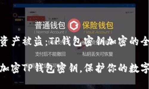 防止数字资产被盗：TP钱包密钥加密的全面指南

如何有效加密TP钱包密钥，保护你的数字资产安全