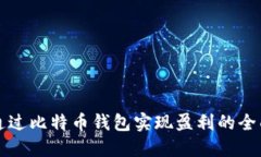 如何通过比特币钱包实现