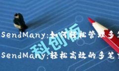 比特币钱包 SendMany：如何