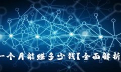 TP钱包：一个月能赚多少钱