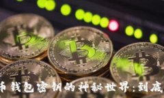   揭秘比特币钱包密钥的神