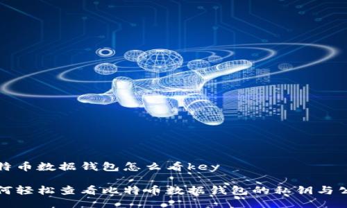 比特币数据钱包怎么看key
如何轻松查看比特币数据钱包的私钥与公钥