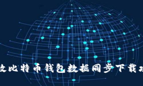 高效比特币钱包数据同步下载攻略