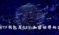 全面解析TP钱包与BSV：加密