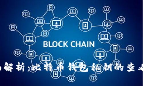  全面解析：比特币钱包私钥的查看方式