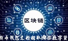 比特币钱包支持提取哪些