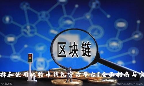 如何选择和使用比特币钱包官方平台？全面指南与实用建议