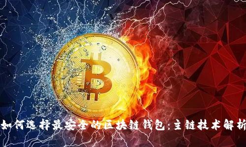 如何选择最安全的区块链钱包：主链技术解析