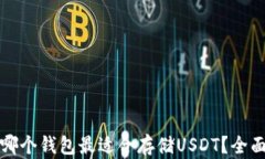 选择哪个钱包最适合存储