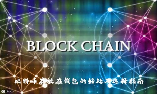 比特币存放在钱包的好处及选择指南