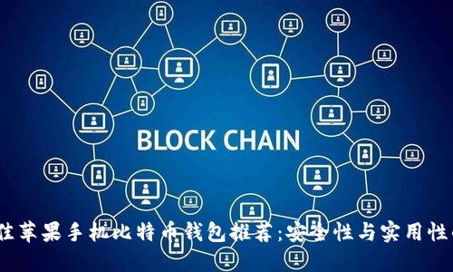 2023年最佳苹果手机比特币钱包推荐：安全性与实用性的完美结合