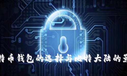 比特币钱包的选择与比特大陆的影响
