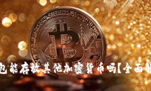 比特币钱包能存放其他加密货币吗？全面解析与建议