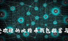 iOS上最受欢迎的比特币钱