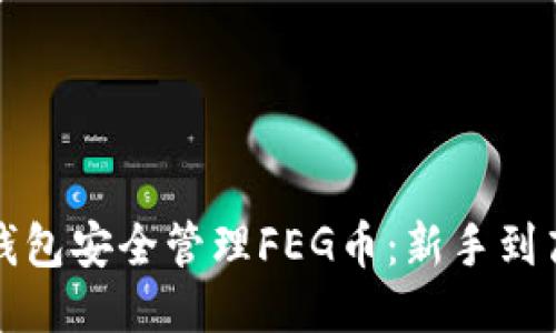 如何使用TP钱包安全管理FEG币：新手到高手的全攻略