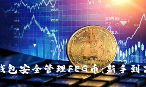 如何使用TP钱包安全管理FEG币：新手到高手的全攻略