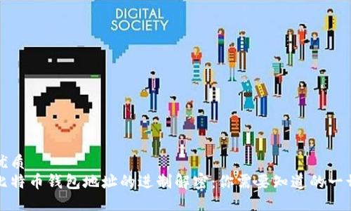 优质
比特币钱包地址的进制解密：你需要知道的一切