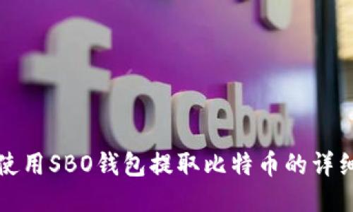 如何使用SBO钱包提取比特币的详细指南