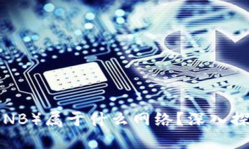 TP冷钱包的币安币（BNB）属于什么网络？深入探讨其技术架构及功能