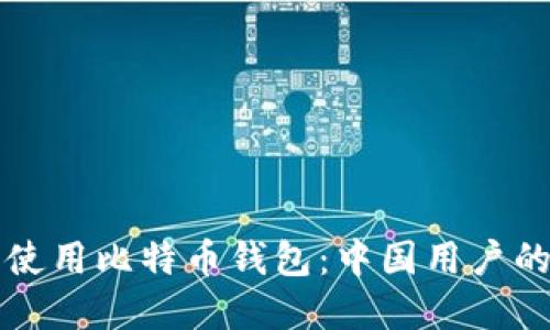 如何安全使用比特币钱包：中国用户的完整指南