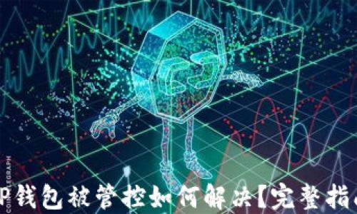 
TP钱包被管控如何解决？完整指南